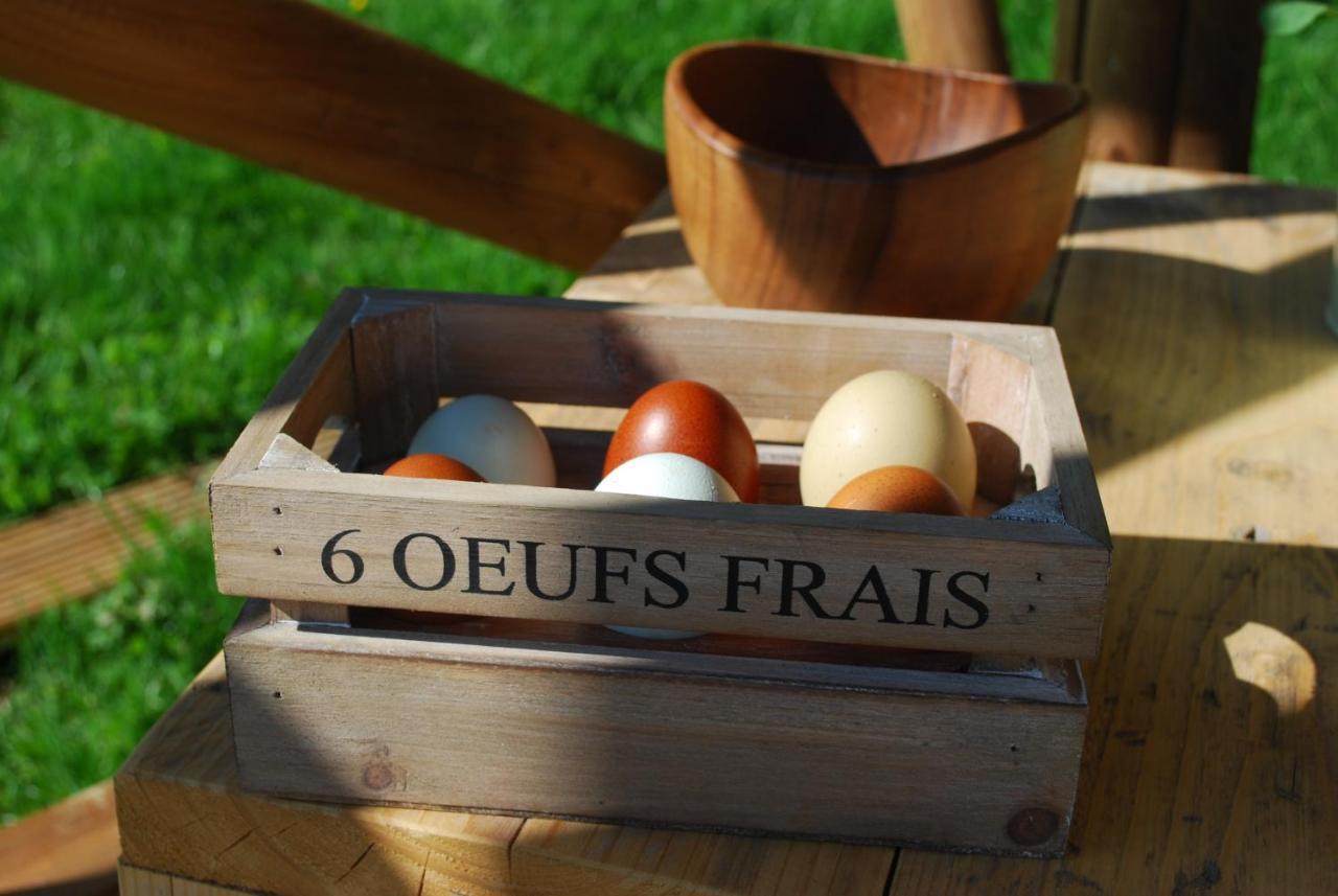 Swallows Oast Glamping Sedlescombe Exteriör bild
