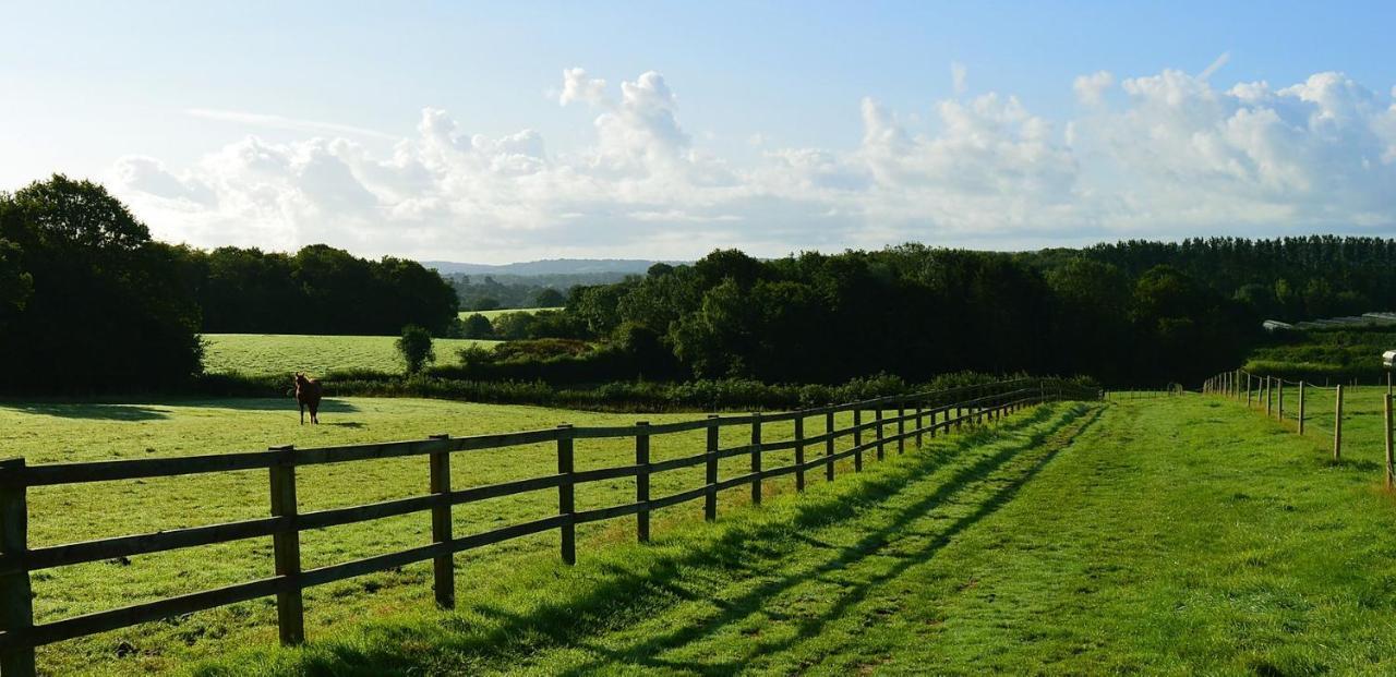 Swallows Oast Glamping Sedlescombe Exteriör bild